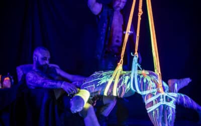 Blacklight